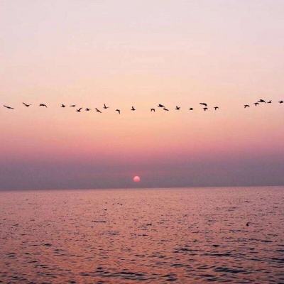 太阳网址入口